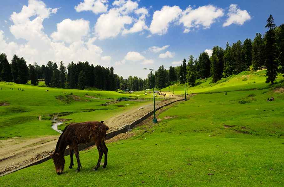 Top Places to Visit in kashmir